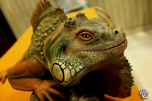 Clay craft by Jamie - Iguana