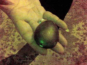 Stone found (Malaysiakini photo)