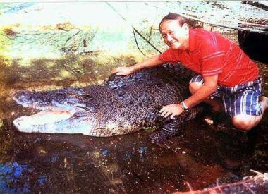 Family pet: Su Hung hugging Ah Kong the croc that he found along the Pegalan River in 1961. The family celebrated the reptile’s 50th birthday on New Year’s Day.