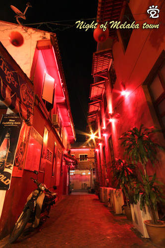 An alley at the red house