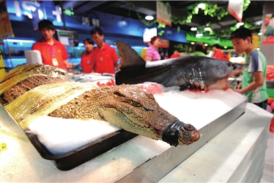 出售的活鳄鱼和鲨鱼。(实习记者杨天啸摄)