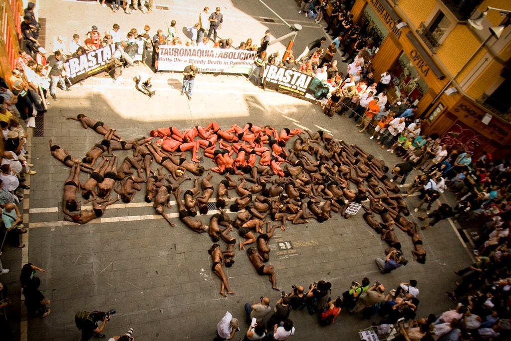 IMG_2863 2010 anti-bullfighting demonstration in Pamplona (photograph by Matt Goldsmith)