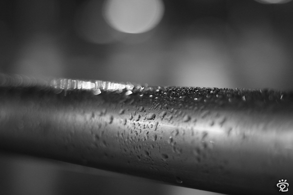 Rain dew