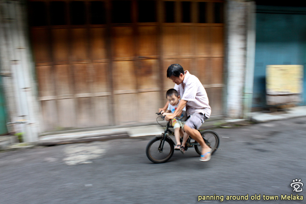 panning shot of the family love on a bike