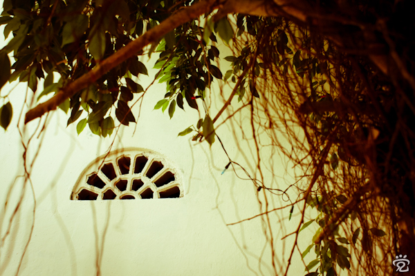 through the fan