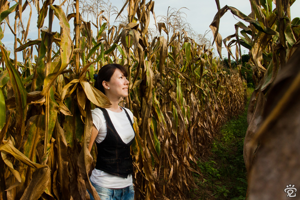 Gina in brownish corn farm