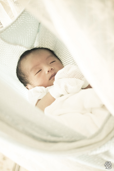 in the baby hammock in the baby hammock