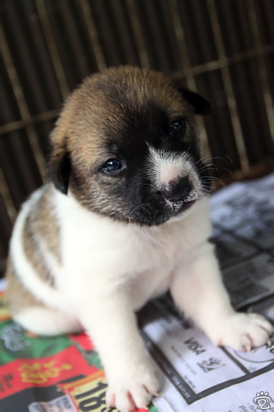 please adopt me...