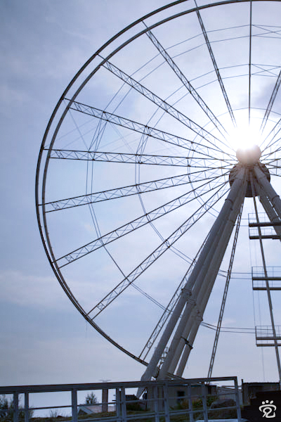 fairy wheel