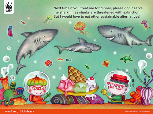 WWF - no to shark fin (image by Pucky)