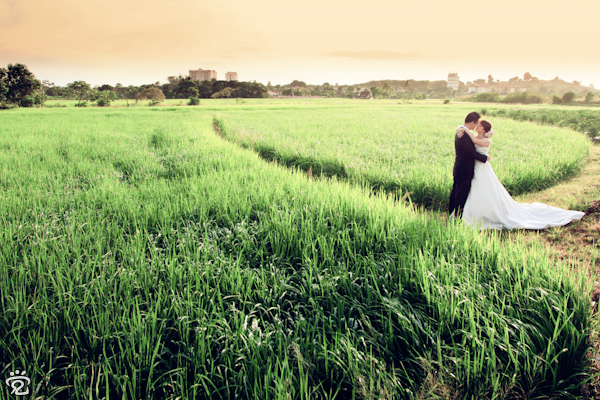 Congratulation to Stephanie and Danny 