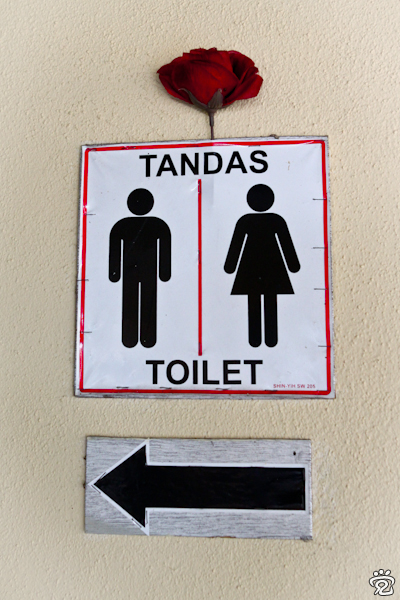 this way