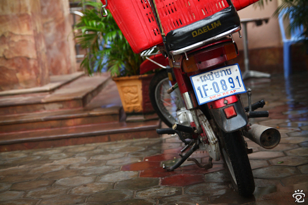 bike