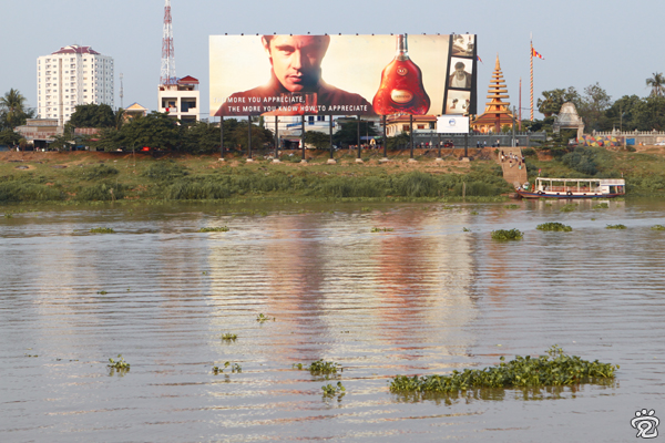 opaque brown water of Mekong River contrasts with the green hue of river bank