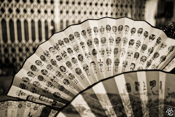 Chinese fans