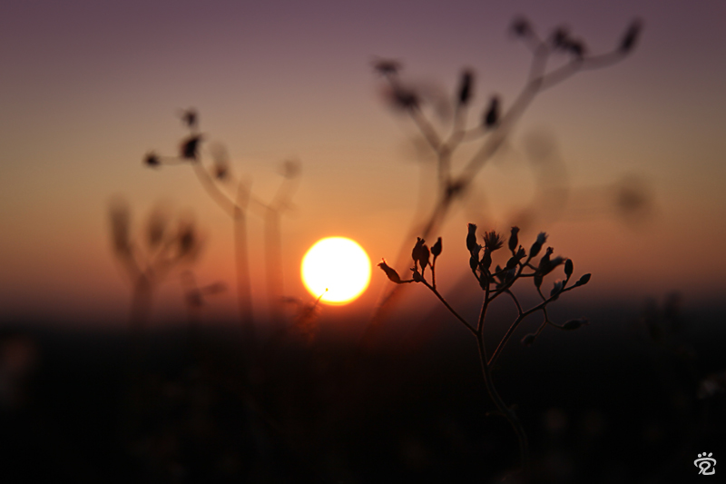 message of spring
