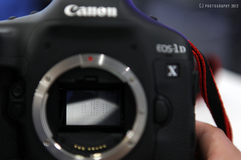 1D X has new autofocus system (61-point AF system with 41 cross-type points)