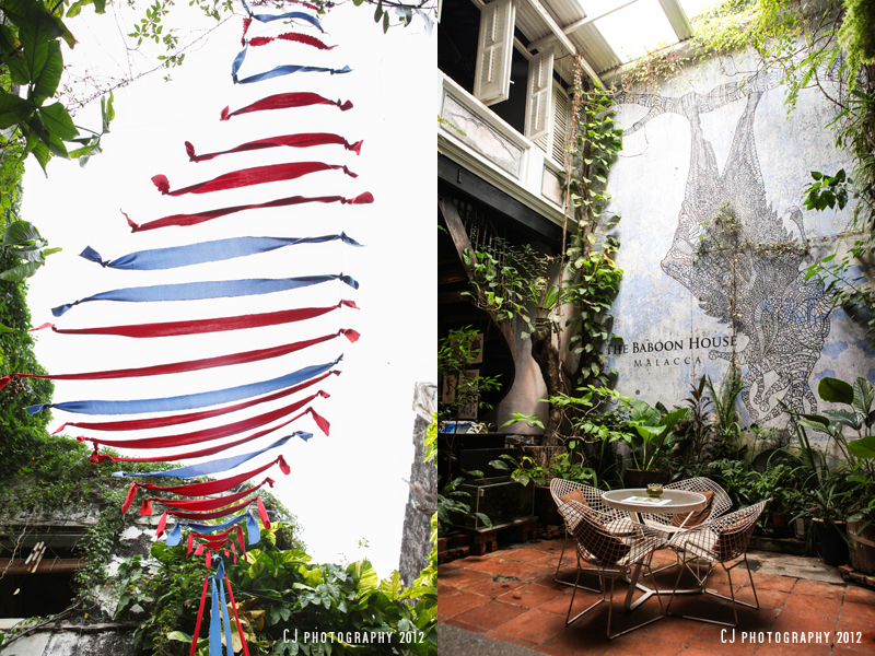 installations in Baboon House