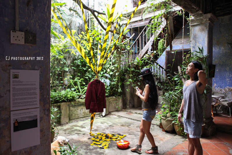 installations in Baboon House