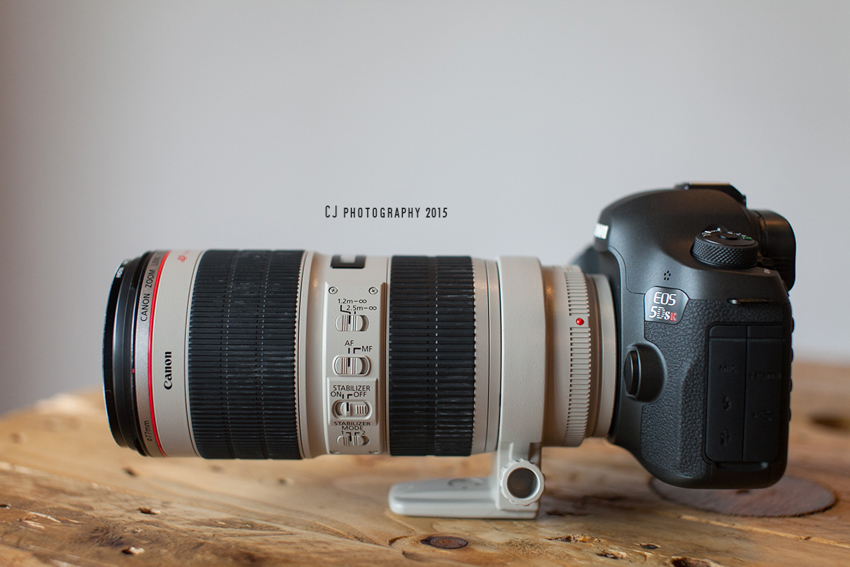 Canon EOS 5DS R with Canon EF 70-200mm f/2.8L IS II USM