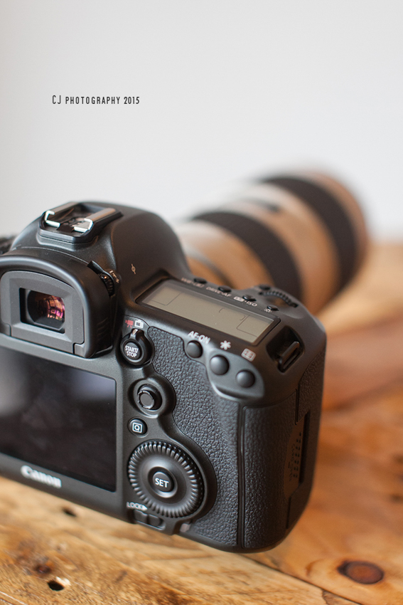 Canon EOS 5DS R's rear view