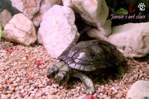 Twin-headed turtle - clay art by Jamie
