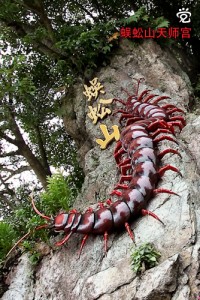 12尺全身赤红的“百足灵物”巨型蜈蚣像
