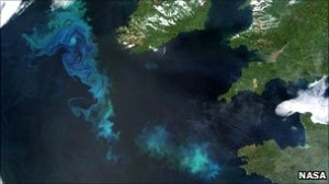 Algal blooms can be imaged from space