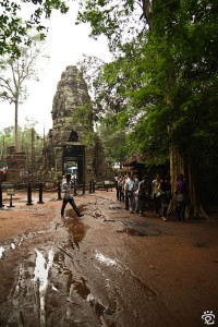 visitors making their way through the jungle the the temple