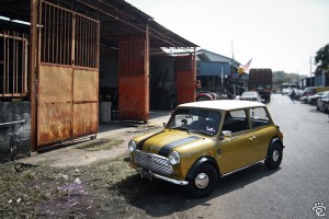 mini