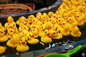 ducklings with hidden number