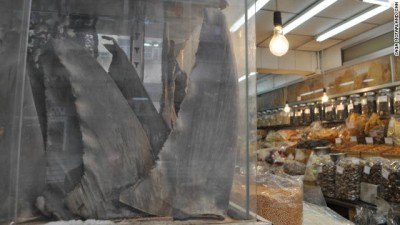 Shark fins are displayed at a dried sea food store on Hong Kong's Dried Seafood Street. (image by Saga McFarland/CNN)