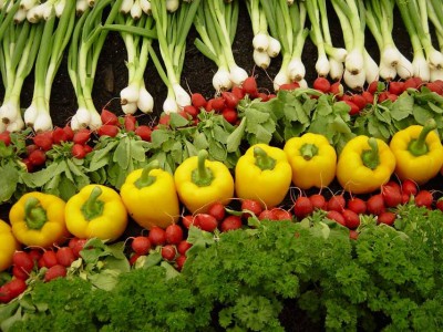 What happens to your food waste? (USEPA Environmental-Protection-Agency)