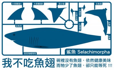 我不吃鱼翅 (google image)