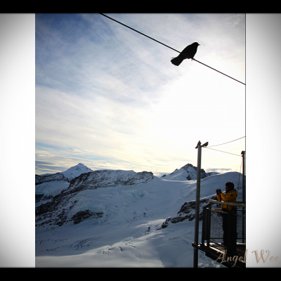 1996年，瑞士人又在此大胆启用了欧洲最高的观景台及瑞士最快速的升降机(110米垂直高度，25秒钟抵达)。以便到最高的天文台上喂鸟，所谓的鸟，莫过于就是乌鸦，它们是那常见的动物。