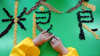 中国连云港市天使家园幼儿园开展认识粮食活动，通过对各种粮食的辨认，培养孩子们爱惜粮食的意识，迎接10月16日世界粮食日的到来。图为江苏省连云港市天使家园幼儿园的小朋友在课堂上学习辨识五穀杂粮。（图：新华社）