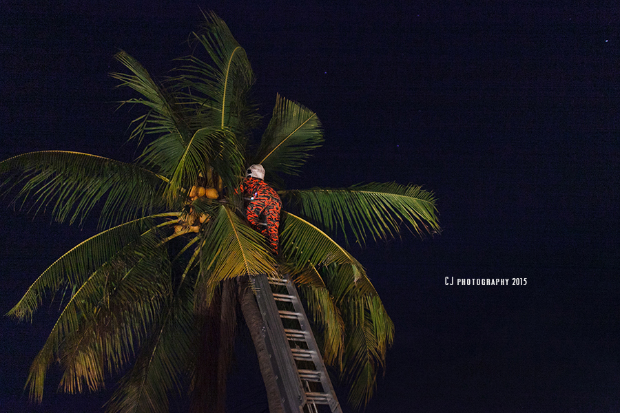 Thank you Bomba Malaysia (fire fighter) for saving the kitten