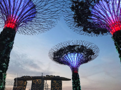 Big Trees of Gardens by the Bay with Marina Bay Sands in scene